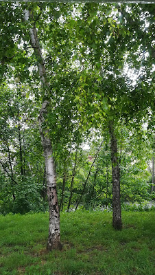 Leclercq Marie Claude à Couiza