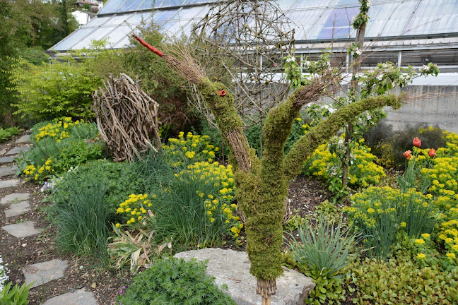 Rezensionen über Bio - Gärtnerei Neubrunn in Schaffhausen - Blumengeschäft