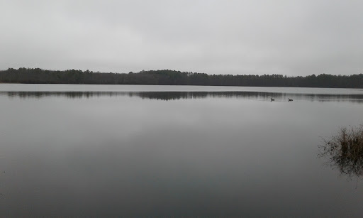 Golf Club «Swan Lake Golf Club», reviews and photos, 388 River Rd, Manorville, NY 11949, USA