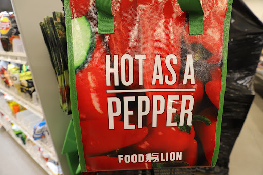 Grocery Store «Food Lion», reviews and photos, 35 Westridge Market Pl, Candler, NC 28715, USA