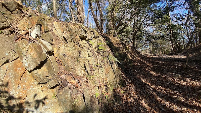 霊合山旦性寺跡