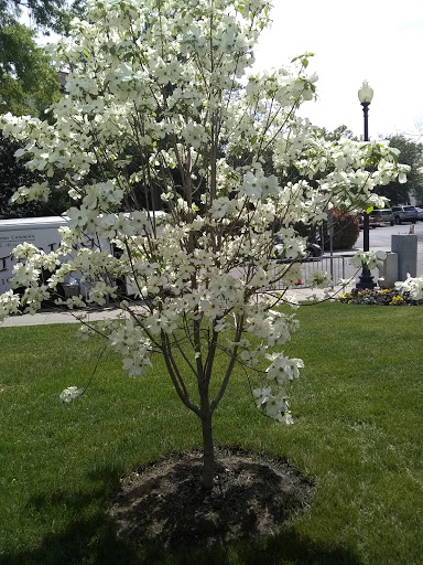 Live Music Venue «DAR Constitution Hall», reviews and photos, 1776 D St NW, Washington, DC 20006, USA