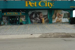 Pet City Χαλκίδα 1 image