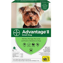 50/50 Pet Supply - Photo 5 - Car repair in Port St. Lucie, FL, Port St. Lucie