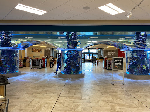 Sporting Goods Store «SCHEELS», reviews and photos, 8251 Flying Cloud Dr #1058, Eden Prairie, MN 55344, USA