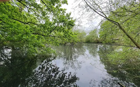 Caversham Park Pond image