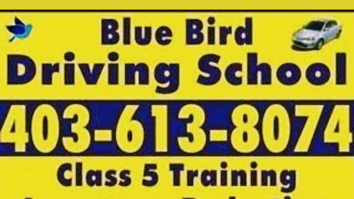 Best&Affordable driving school Calgary