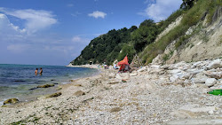 Photo de Plyazh Zelenka zone sauvage