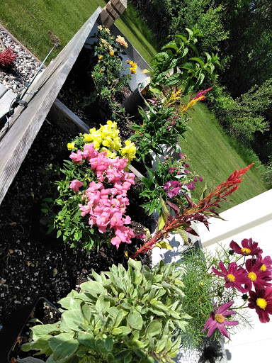 Garden Center «Hildebrant Farmers Market», reviews and photos, 349 Main Ave E, West Fargo, ND 58078, USA