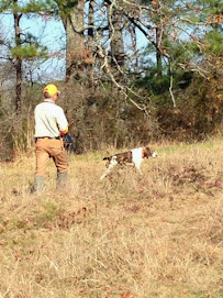 Bird Dog Plumbing LLC