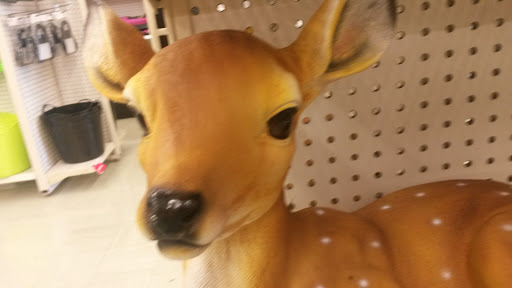 Discount Store «Kmart», reviews and photos, 901 Hollywood Blvd, Iowa City, IA 52240, USA