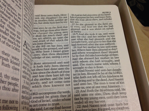 Non-Profit Organization «Bearing Precious Seed», reviews and photos, 1369 Woodville Pike, Milford, OH 45150, USA