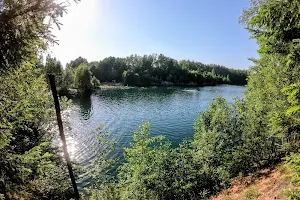 Pond Horní Cerekev image