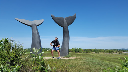 Monument «Reverence (Whales Tails)», reviews and photos, I-89, South Burlington, VT 05403, USA