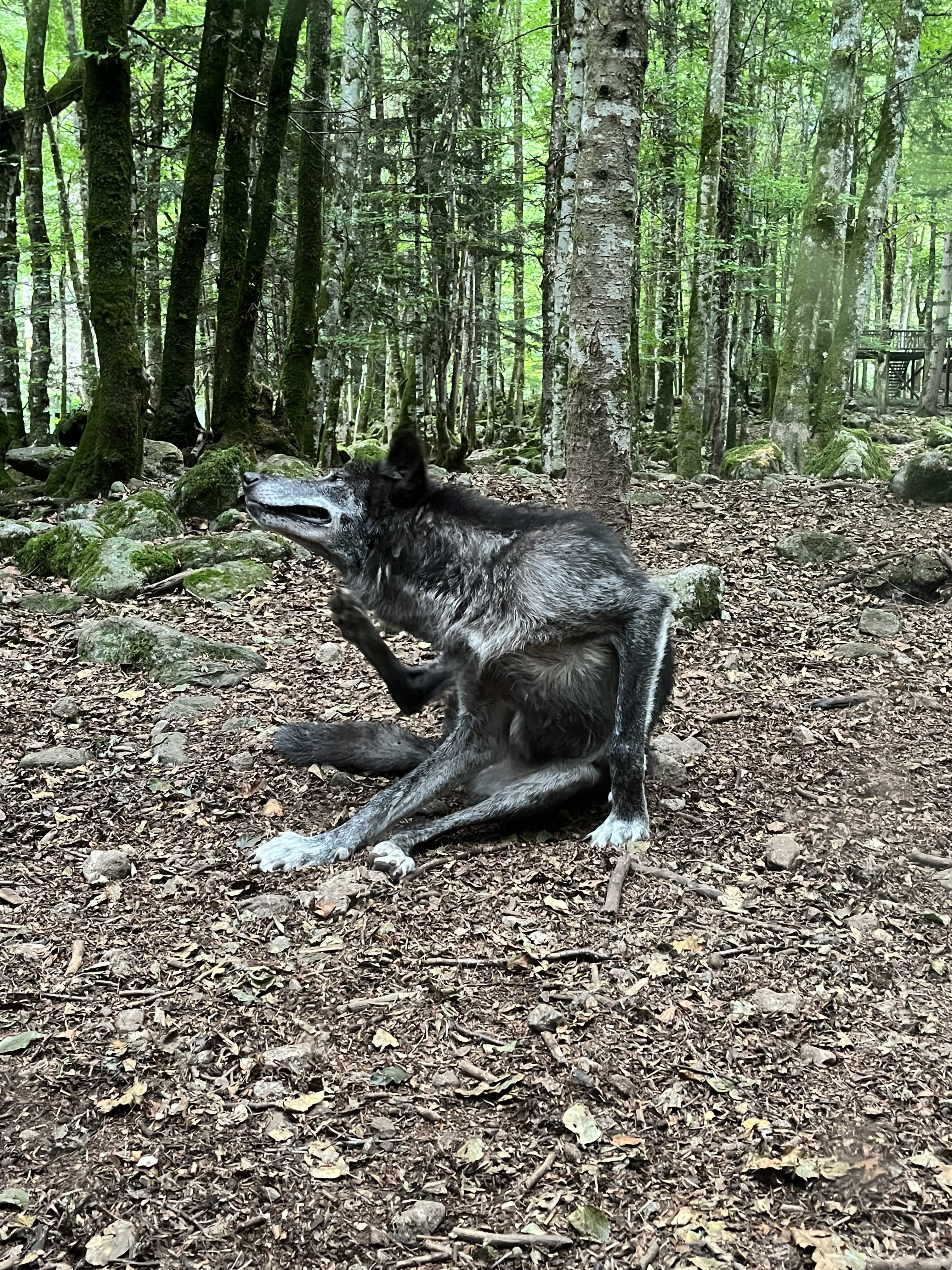 Photo n° 2 de l'avis de manuel. fait le 22/07/2023 à 09:46