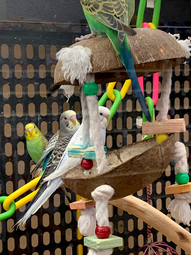 Pet Supply Store «PetSmart», reviews and photos, 3736 SW Archer Rd, Gainesville, FL 32608, USA