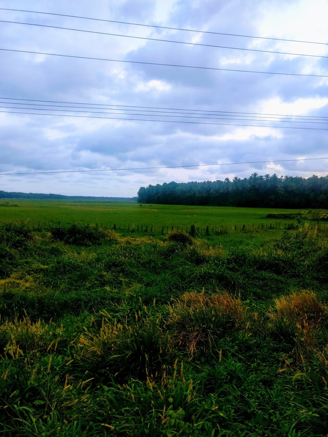 Kalachal Bus Stop