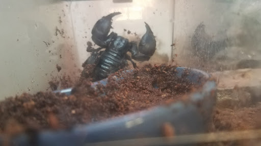 Pet Supply Store «Pet Supplies Plus», reviews and photos, 209 Towne Dr, Elizabethtown, KY 42701, USA