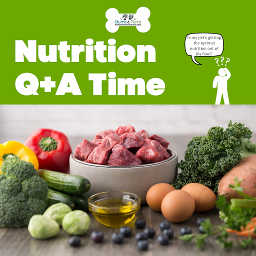 Pet Supply Store «Grrs & Purrs», reviews and photos, 116 N Woodland Blvd, DeLand, FL 32720, USA