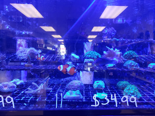 Pet Store «Exotic Fish & Pets», reviews and photos, 3272 N 5th Street Hwy, Reading, PA 19605, USA