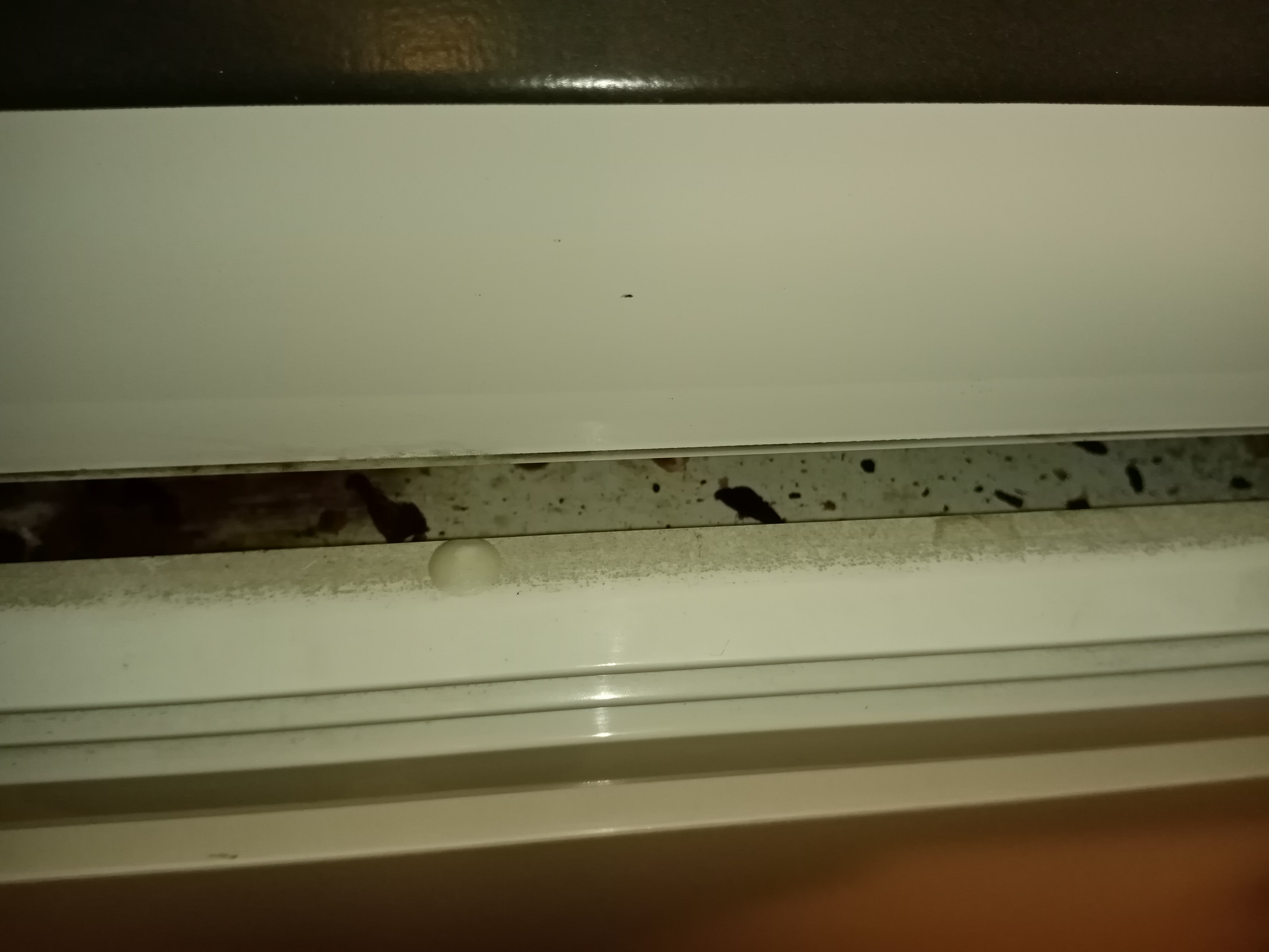 Photo n° 4 de l'avis de Ku.u fait le 13/08/2020 à 21:06
