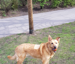 Schanzenpark photo