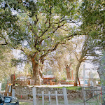 Photo n°5 de l'avis de Maria.e fait le 16/10/2022 à 16:07 sur le  Donato e Donata Il ristoro con parco à Sovicille