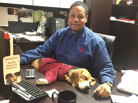 Auto Insurance Agency «Jewelz Santiago - State Farm Insurance Agent», reviews and photos