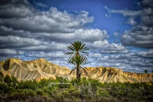 Tabernas Desert image