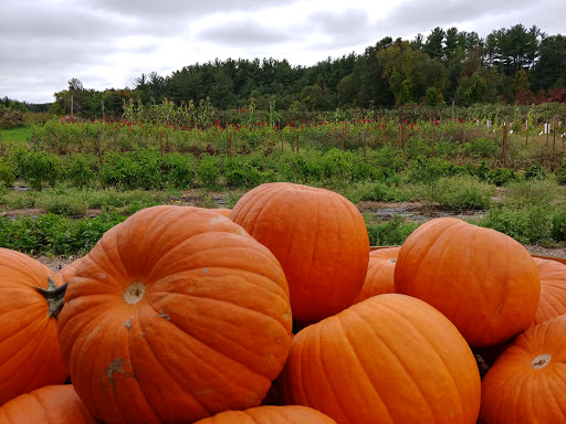 Farm «Heron Pond Farm», reviews and photos, 299 Main Ave, South Hampton, NH 03827, USA