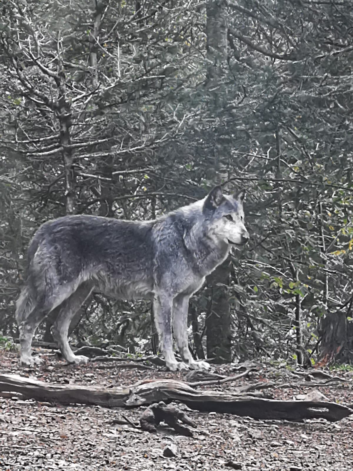 Photo n° 4 de l'avis de Smadja.a fait le 10/11/2019 à 21:11