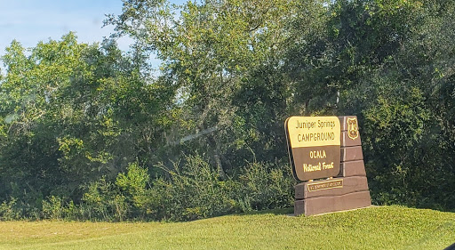 National Forest «Ocala National Forest», reviews and photos, FL-40, Silver Springs, FL 34488, USA