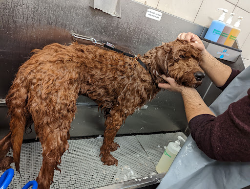 Pet Supply Store «Pet Supplies Plus», reviews and photos, 1791 Douglas Rd, Montgomery, IL 60538, USA