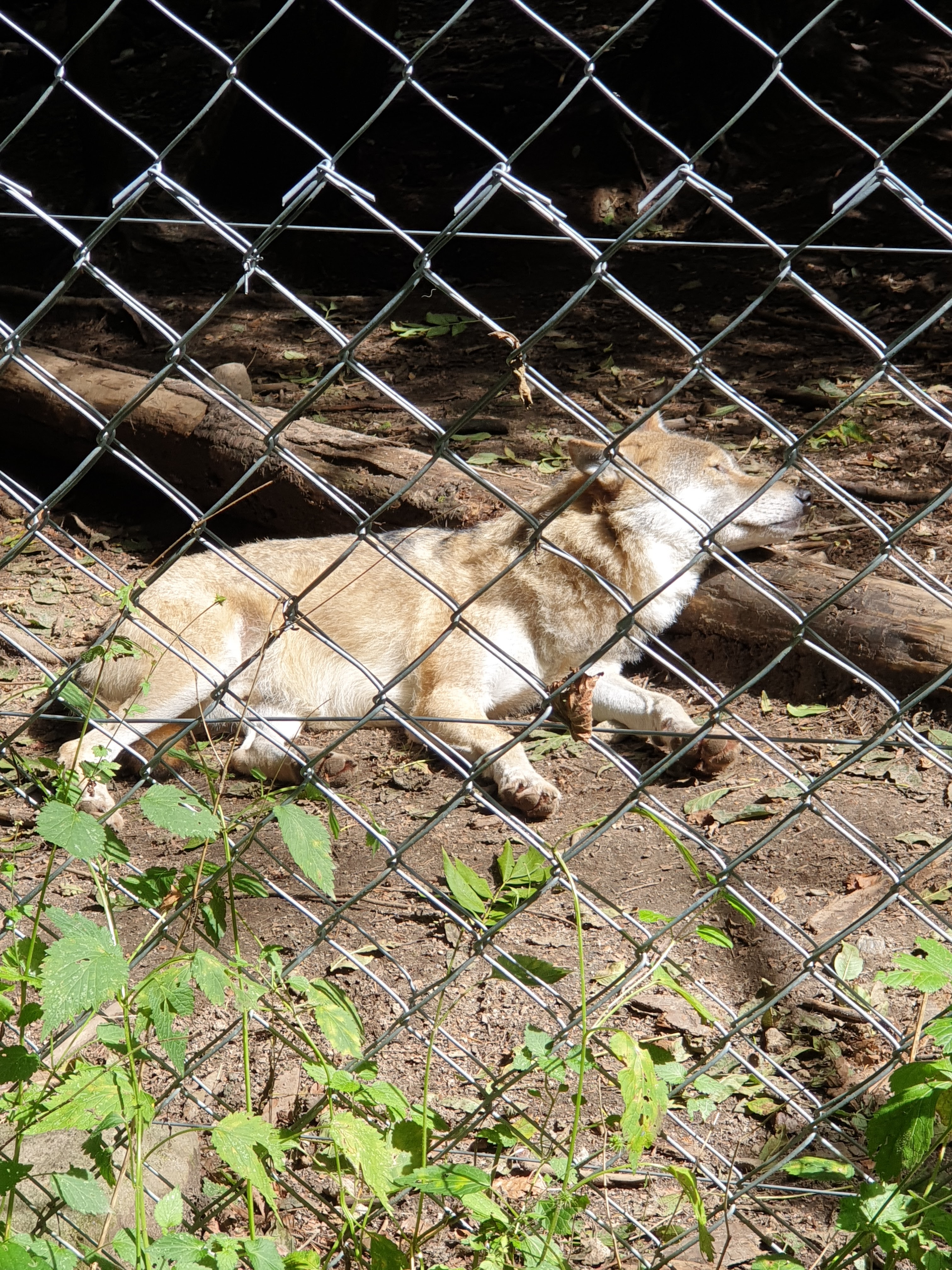 Photo n° 6 de l'avis de Sarah.h fait le 16/09/2020 à 12:45