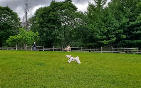 Earl Bales Dog Park image