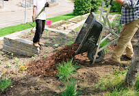 Perez Landscaping & Tree Trimming - Photo 6 - Car repair in , Austin