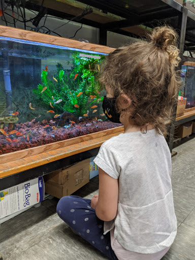 Pet Supply Store «Critterland Pets», reviews and photos, 336 Miller Ave, Mill Valley, CA 94941, USA