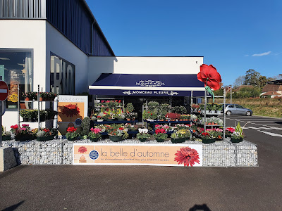 Floralyne à Orthez
