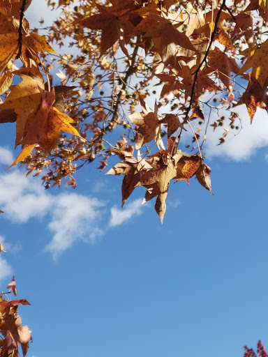 Farm «Manoff Market Gardens», reviews and photos, 3157 Comfort Rd, Solebury, PA 18963, USA