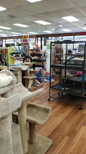 Pet Supply Store «Pet Supermarket», reviews and photos, 32560 US Hwy 19 N, Palm Harbor, FL 34683, USA