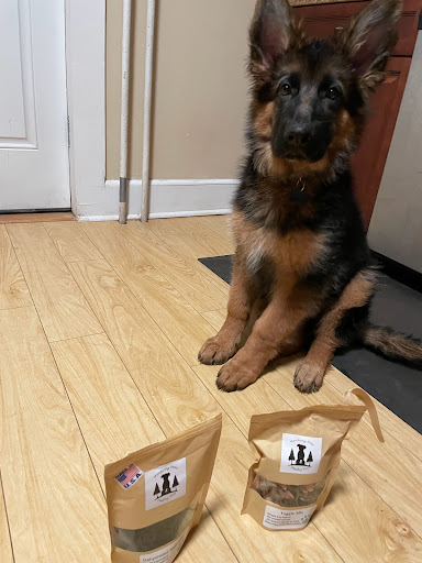 Wandering pines trading post