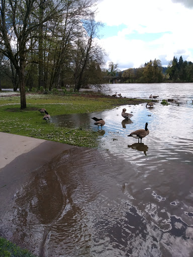 Recreation Center «Willamalane Adult Activity Center», reviews and photos, 215 W C St, Springfield, OR 97477, USA