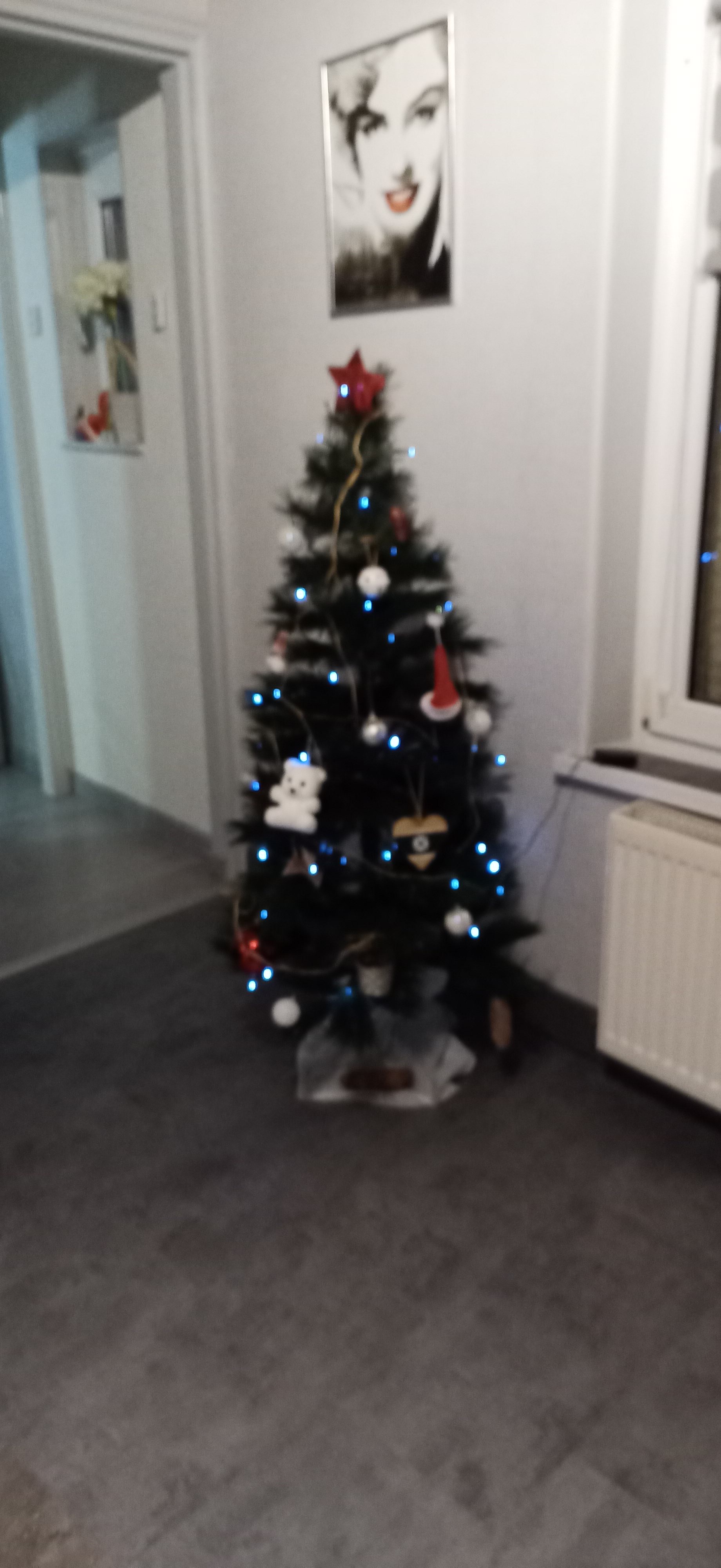 Photo n° 3 de l'avis de Bastiaan_31.33. fait le 31/12/2020 à 18:38