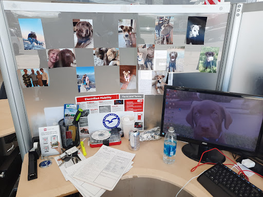 Toyota Dealer «Pohanka Toyota Of Salisbury», reviews and photos, 2010 N Salisbury Blvd, Salisbury, MD 21801, USA