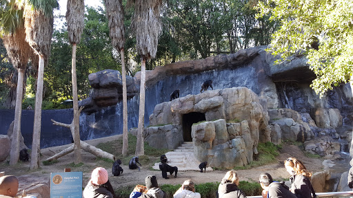 Zoo Glendale