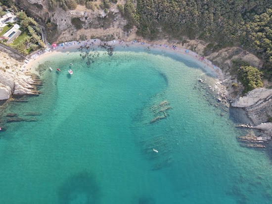 Rosin beach