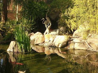 San Diego Zoo Terrace Lagoon