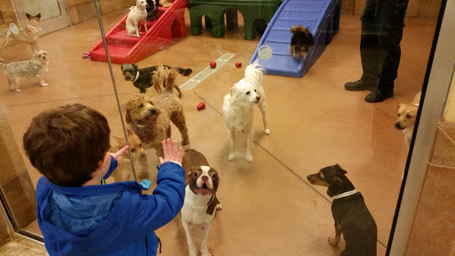 Pet Supply Store «PetSmart», reviews and photos, 310 N White Horse Pike, Lawnside, NJ 08045, USA