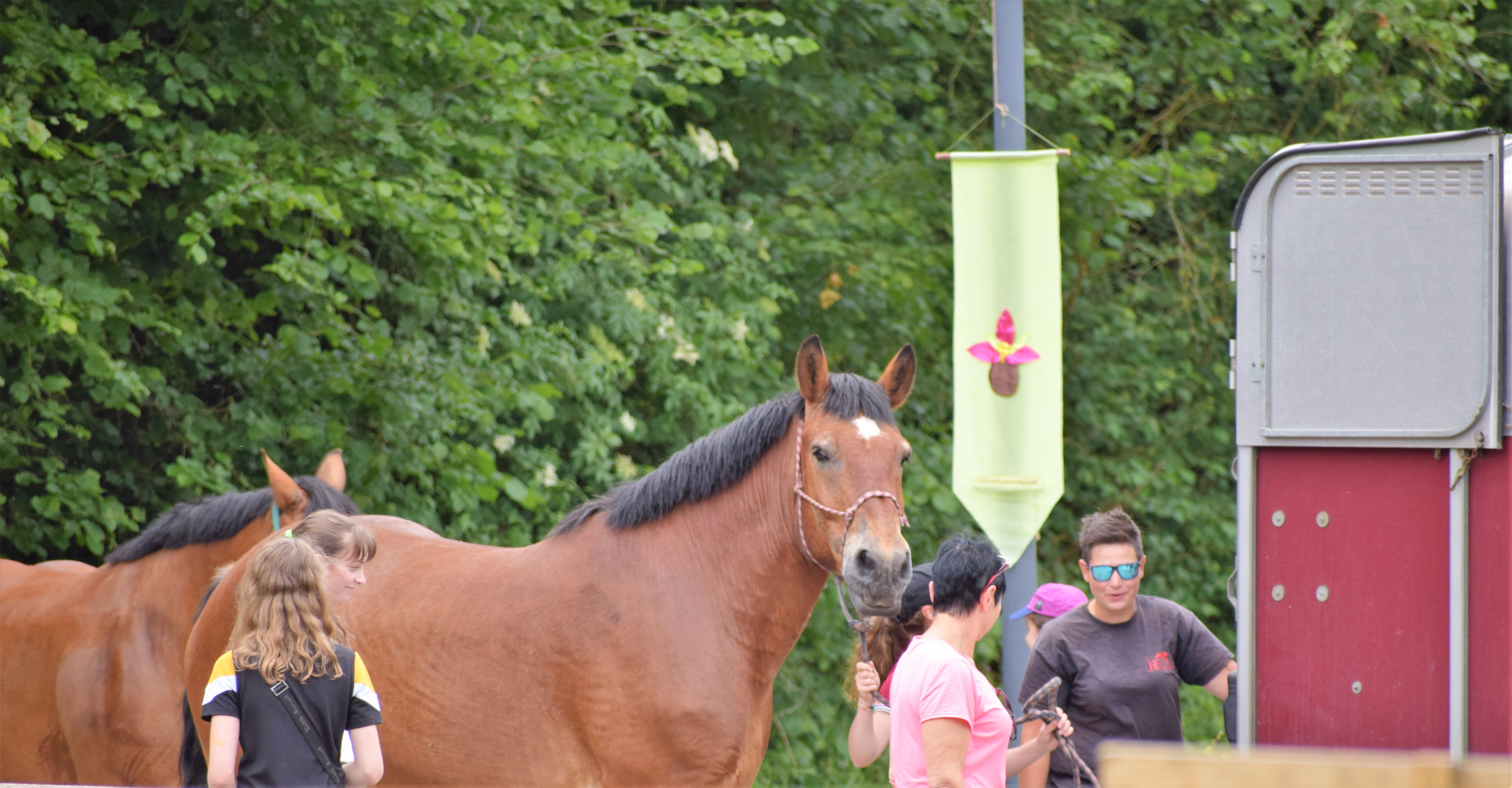 Photo n° 25 de l'avis de Philippe.e fait le 19/06/2019 à 09:25