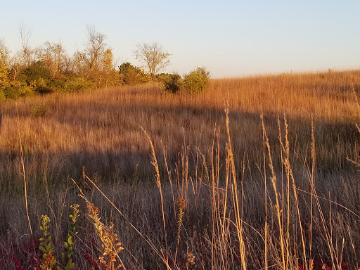 State Park «Willow River State Park», reviews and photos, 1034 County Highway A, Hudson, WI 54016, USA